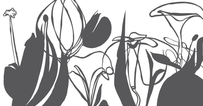 Trees of my life by Montse Noguera